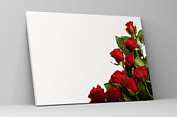 Obraz Roses of red 1438